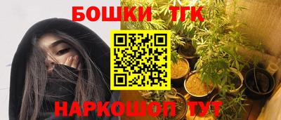 индика Новозыбков