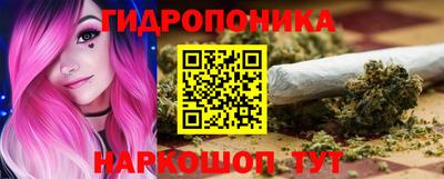 индика Новозыбков
