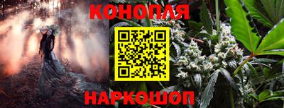 соль ск Новокубанск