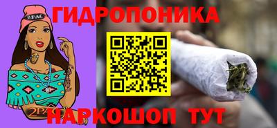 соль ск Новокубанск