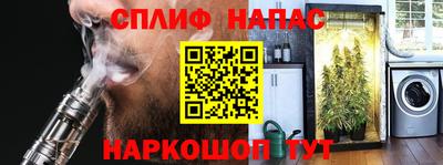 индика Новозыбков