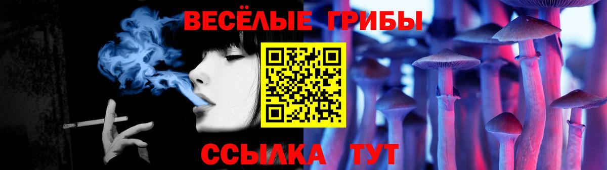 Галлюциногенные грибы Cubensis Пугачёв